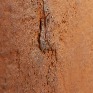 Alternative view of Elastīgā akmens plāksne CORTEN, 280x122cm