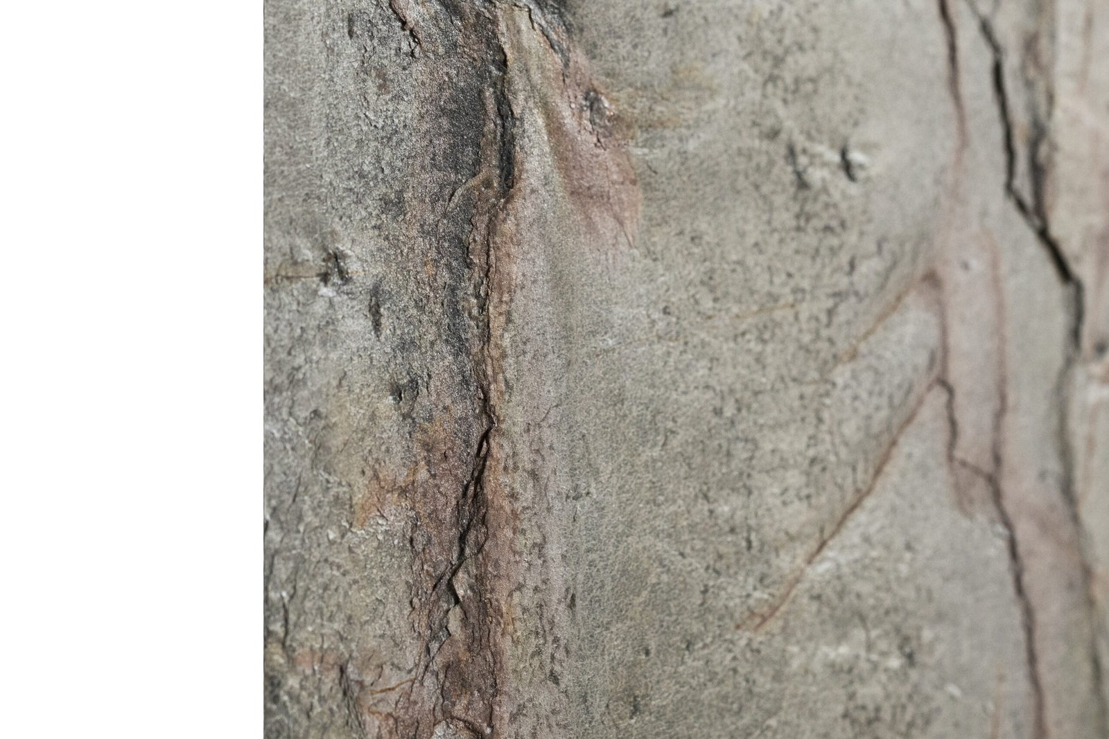 Akmens masas pašlīmējošās flīzes, Rain 30x60cm